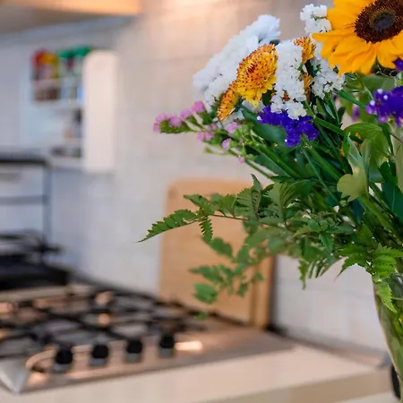 Manessy Dom wakacyjny *